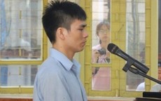 Mức án 12 năm tù cho Lý Nguyễn Chung có "nặng"?