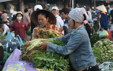 Người già ăn nhiều rau để sống lâu