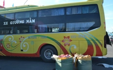 2 tạ nội tạng bẩn trên xe khách từ Đà Nẵng “tuồn” qua Lào