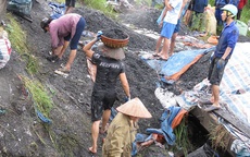Người đàn bà mót than và ngôi nhà bị lũ quét sạch ở Quảng Ninh