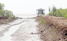 Tìm thấy nữ sinh thiệt mạng nhờ sim điện thoại cũ