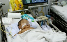 21 ngày giành sự sống cho bé ngưng thở vì sốt xuất huyết