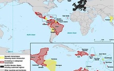43 nước, vùng lãnh thổ ghi nhận sự lưu hành virus Zika