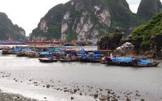 Bão số 7: Quảng Ninh ra công điện khẩn kêu gọi tàu thuyền vào bờ