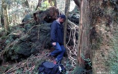 Khám phá 13 điều rùng rợn về khu rừng tự sát tại Nhật