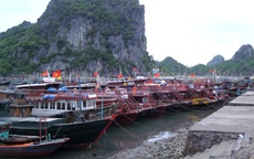 Bão số 1: Quảng Ninh cấm tàu thuyền ra khơi