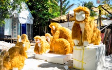 Cận cảnh bầy khỉ khổng lồ sắp "đổ bộ" đường hoa Nguyễn Huệ