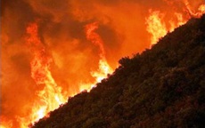 Hàng trăm người tham gia dập lửa ở Vườn quốc gia Hoàng Liên