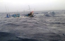 Mưa lũ nghiêm trọng ở Quảng Bình: Chìm nhiều tàu cá, ngư dân mất tích