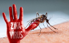 Các trường hợp nhiễm mới virus Zika có thể chưa dừng lại
