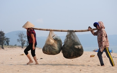 Ngư dân Hà Tĩnh khốn cùng sau thảm họa cá biển "bí ẩn" chết hàng loạt