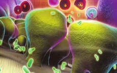 Sự thật ít biết về loại vi khuẩn Hp gây Ung thư dạ dày