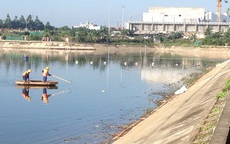 Hà Nội: Hàng tấn cá to chết nổi ở hồ Linh Đàm