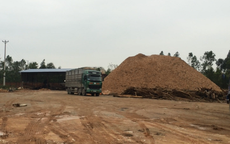 Thanh Hóa: Kiểm tra nhà máy gỗ dăm trái phép trong Khu kinh tế Nghi Sơn
