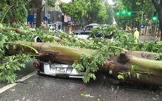 Bão số 1 qua Hà Nội: Cây đè bẹp ô-tô, gió thổi bay người và xe máy