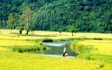 Thâm cung bí sử (85 - 11): Nặng tình quê hương