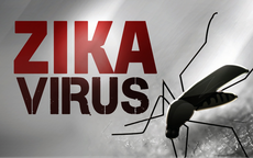 Virus Zika tấn công 7 quốc gia ASEAN