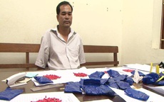Mua 5.800 viên ma túy tổng hợp từ Lào lên Lạng Sơn tiêu thụ