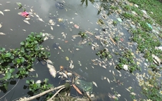 Huyện Bình Giang, tỉnh Hải Dương: Dân kêu cứu vì nguồn nước ô nhiễm