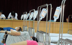 Cao điểm sốt xuất huyết: Bác sĩ hủy phép, bệnh viện nhường hội trường kê giường cho bệnh nhân