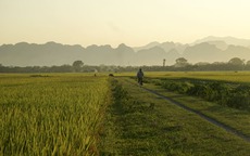 Thâm cung bí sử (104 - 2): Một đời sống nhờ đất