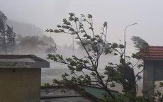 Hình ảnh Hà Tĩnh - Quảng Bình "vật lộn" trong thời khắc tâm bão đổ bộ