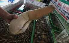 Vì sao tu hài đắt đỏ 10 triệu đồng/con vẫn khiến chị em "điên đảo" vung tiền mua