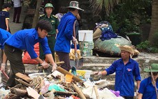 Hải Phòng: Hàng trăm cây xanh được mang trồng trên đảo đá Tai Mèo – Long Châu