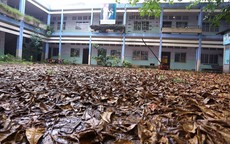 Ngôi trường 2 tầng hoang tàn sau gần 3 năm đóng cửa ở Sài Gòn