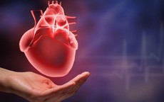 Cách phòng và xử lý bệnh tim mạch cho người cao tuổi
