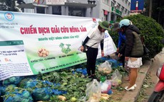 Bao giờ hết cảnh “giải cứu” nông sản Việt Nam?