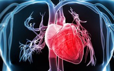 6 bệnh về tim mạch phổ biến cần biết để phòng ngừa tốt hơn
