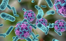 Có bao nhiêu loại viêm gan vi-rút?