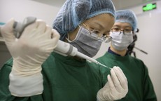 Trung Quốc tuyên bố thí nghiệm tạo em bé biến đổi gen 'bất hợp pháp'