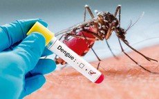 Bộ Y tế cập nhật kiến thức mới điều trị bệnh sốt xuất huyết, giảm tỷ lệ tử vong