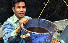 Hà Nội: Thau rửa bể nước ngầm chung cư, phát hiện nước đặc sệt, bốc mùi tựa dầu thải