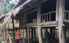 Nhóm từ thiện muốn dựng lại nhà cho “cậu bé sống cô độc trong rừng”