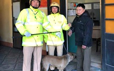Quảng Ninh: Trên đường tuần tra, cảnh sát giao thông bắt được đối tượng trộm chó