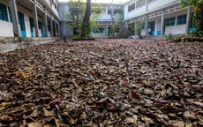 Trường THPT hơn 40 năm tuổi bỏ hoang ở Sài Gòn