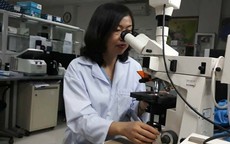 Bác sỹ thuộc Top 50 phụ nữ Việt Nam ảnh hưởng nhất năm 2019 “hóa giải” nhiều bệnh lý di truyền