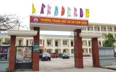 Vụ nữ sinh cấp 2 ở Quảng Ninh bị bạn đánh trong lớp học: Đình chỉ hoạt động điều hành của hiệu trưởng