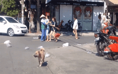 Nữ lao công bị đánh vì nhắc nhở vứt rác: Chủ shop thời trang trần tình