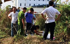 Tranh chấp đất, 2 chú cháu đâm nhau chết ngoài ruộng