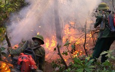 Đám cháy rừng 2 ngày ở Hà Tĩnh chưa được dập tắt