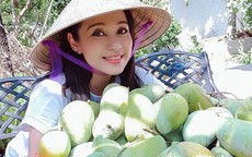 Việt Trinh thu hàng trăm kg trái cây từ nhà vườn 2.500 m2