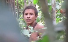 Chàng trai của tộc người ở Amazon gây sốt vì đẹp trai