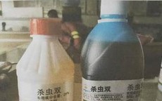 Vợ tự sát, chồng chặt xác phi tang