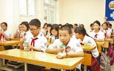 Bộ Y tế tìm quy chuẩn vi chất cho sữa học đường