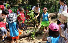 Mẹ buông tay cho con bay