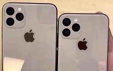 iPhone 11 lộ chi tiết thông số kỹ thuật và giá bán trước ngày ra mắt